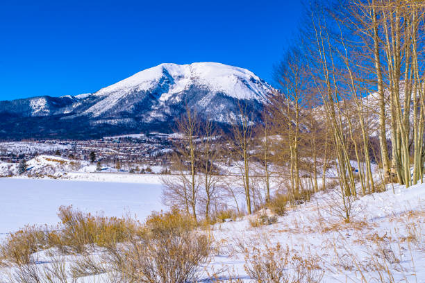 istock Wilderness in Breckenridge, Colorado 959000800