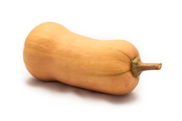 istock Colorful pumpkin and squash, Butternut 959003764