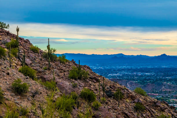 istock Wilderness in Phoenix, Arizona 959003866