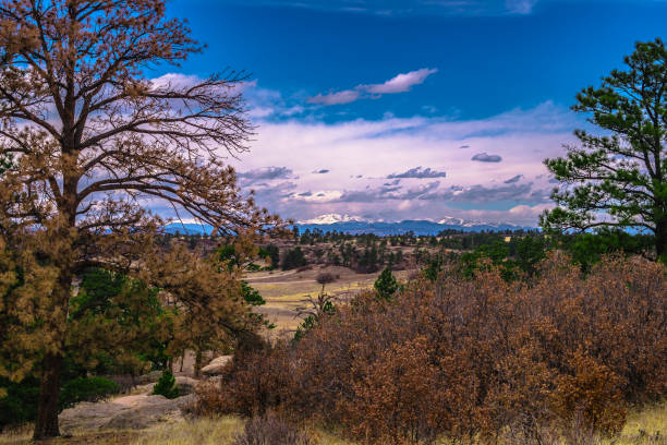 Colorado Wilderness at Castlewood Canyon