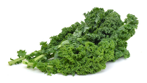 istock freshly harvested kale cabbage on a white background 959008910