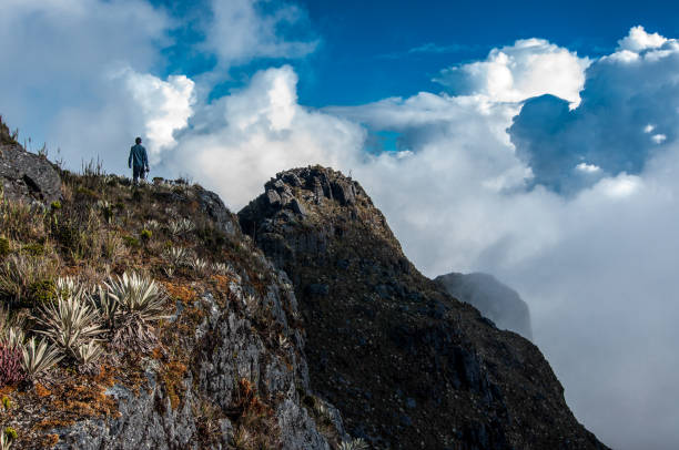 Back of a hiker in the Andes. Picture of a person looking down below in the Colombian Andes. Chingaza National Park, Cundinamarca, Colombia - May 2013