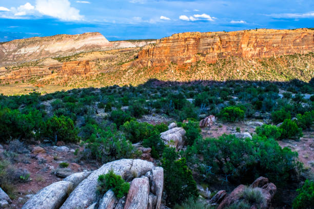 istock Wilderness at Colorado National Monument 959011512