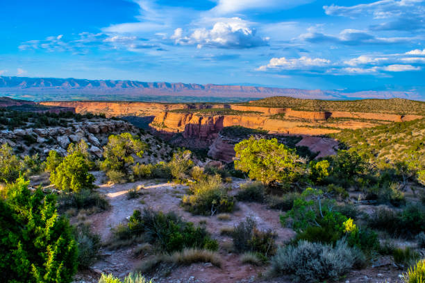 istock Wilderness at Colorado National Monument 959011658