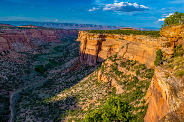 istock Wilderness at Colorado National Monument 959011688