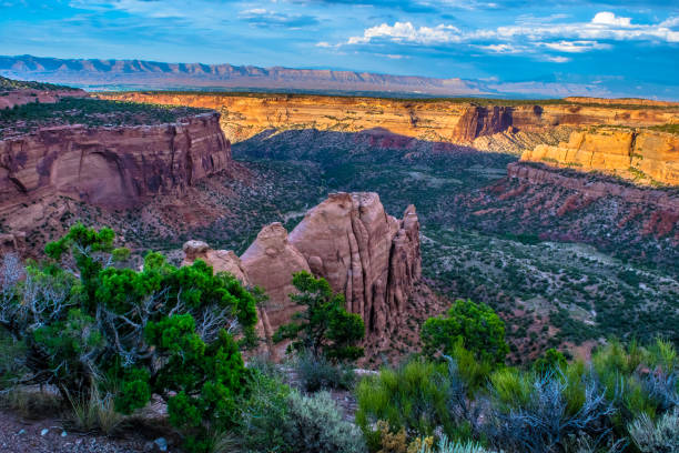 istock Wilderness at Colorado National Monument 959011808