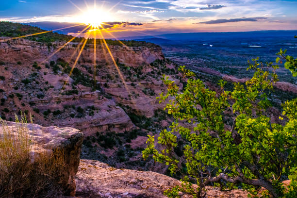 istock Wilderness at Colorado National Monument 959012084