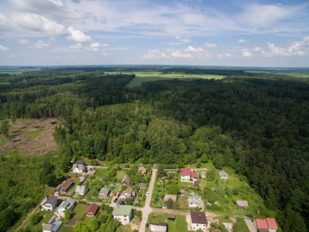 istock Allotment (community garden) Silas in Kaunas, Lithuania 959012132