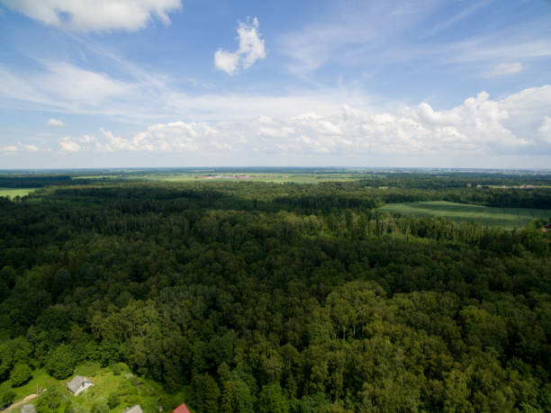 istock Panoramic aerial view of Lithuania forest 959012174