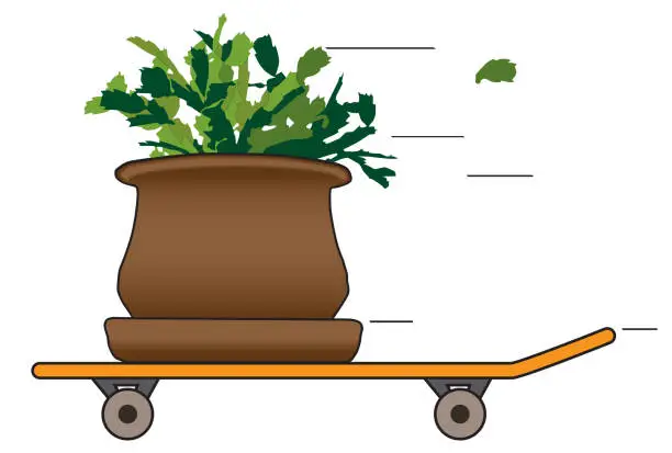 Vector illustration of Houseplant on a Skateboard