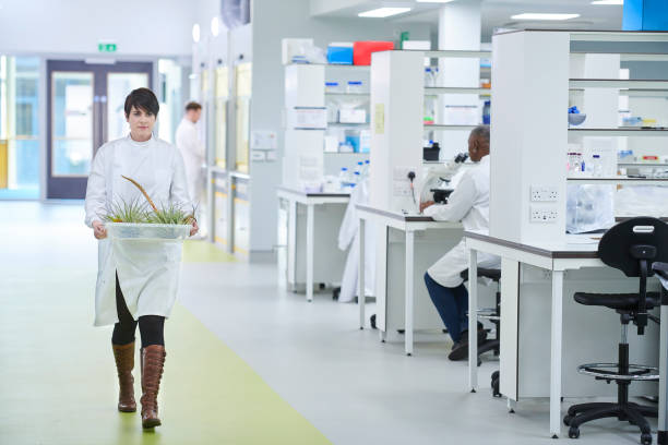 istock biochemist plant life 959015962