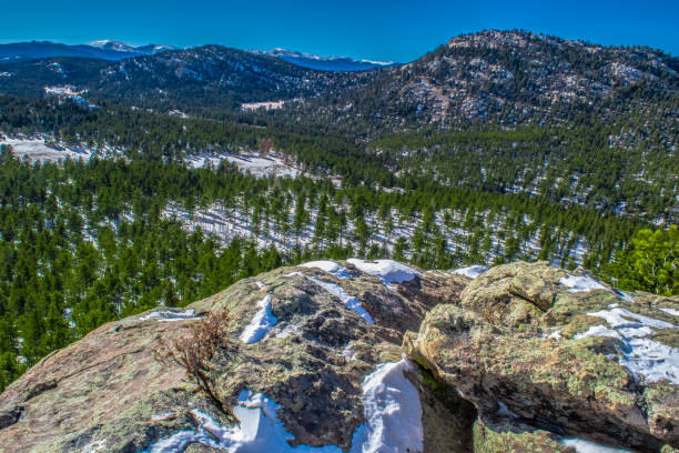 istock Wilderness in Evergreen, Colorado 959016754