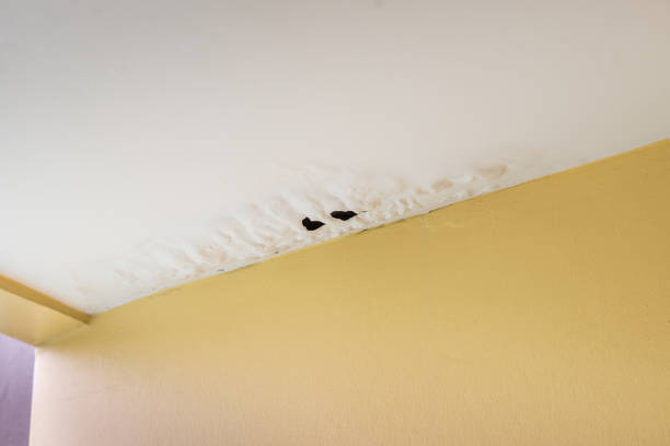 Damaged ceiling from water leak stock photo
