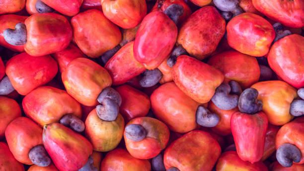 istock cashew fruits 959016924