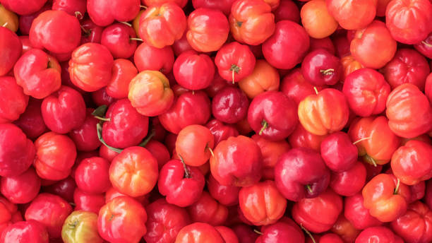 Acerola fruits