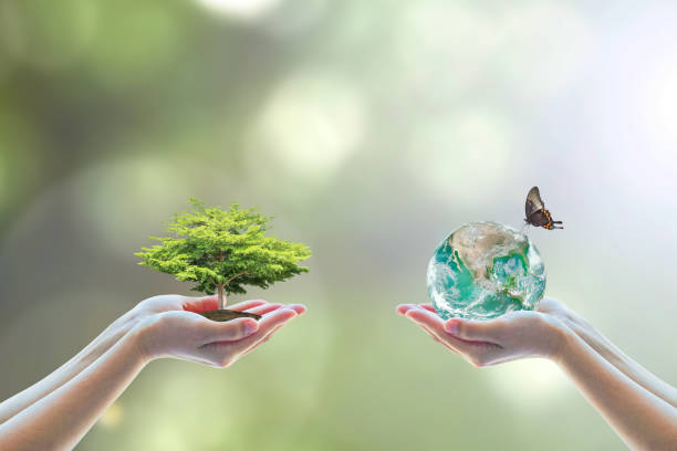 две человеческие руки посадки идеально р астущей земли дерева на естественном фоне зелени арбор лесовосстановления сохранения ксо esg мирно - биоразнообразие фотографии стоковые фото и изображения