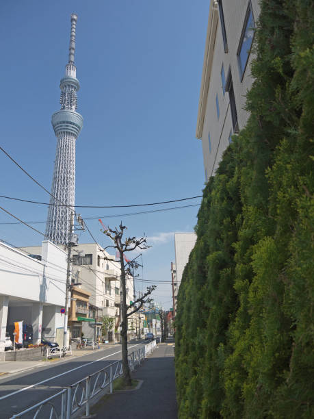 istock Tokyo Sky Tree tower city street 959027846