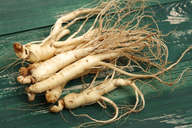 istock Ginseng isolated on the white background 959027988