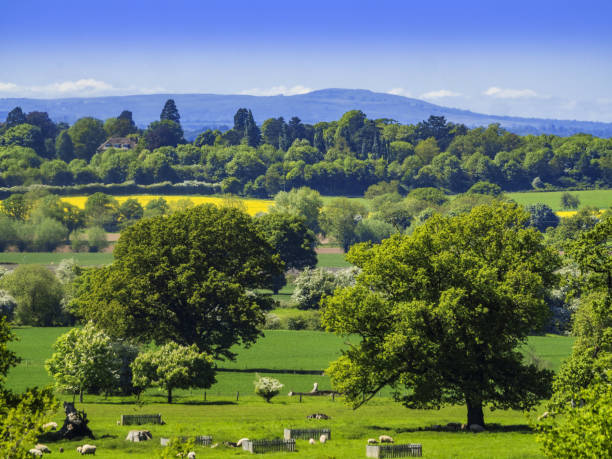 vista su generico paesaggio inglese worcestershire inghilterra regno unito - worcestershire foto e immagini stock