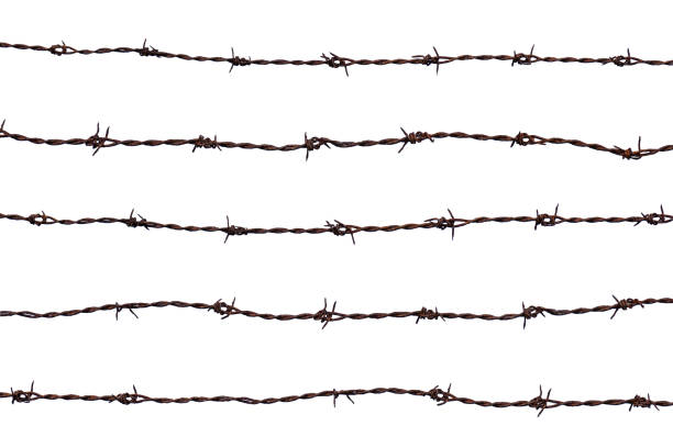 cinque pezzi di filo spinato arrugginito isolati su sfondo bianco. - barbed wire foto e immagini stock