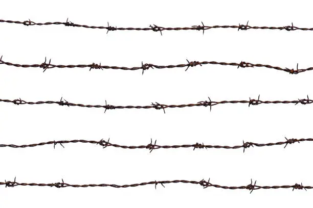 Five pieces of rusty barbed wire isolated on white background.