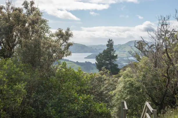 Photo of Elevated View Over Otago Peninsula