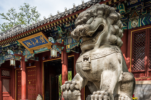 Chinese stone lion