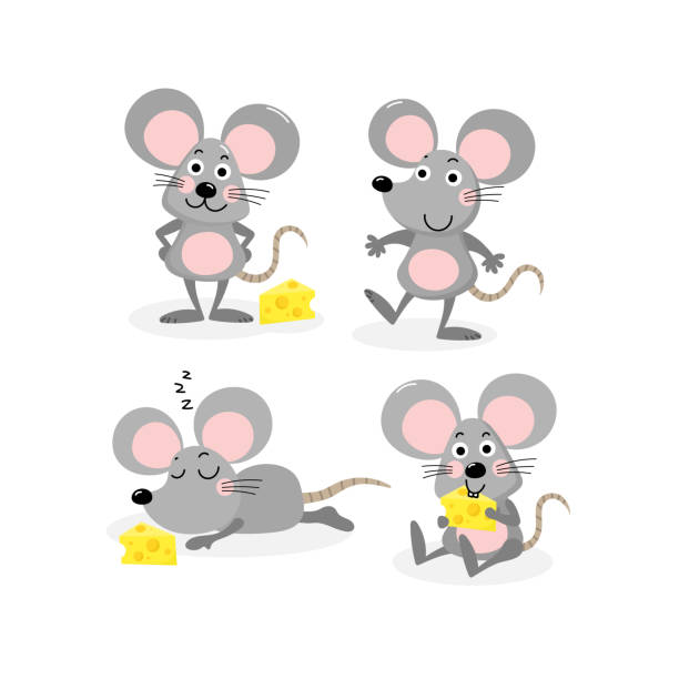 ilustraciones, imágenes clip art, dibujos animados e iconos de stock de conjunto de vector lindo ratón y queso - ratón animal