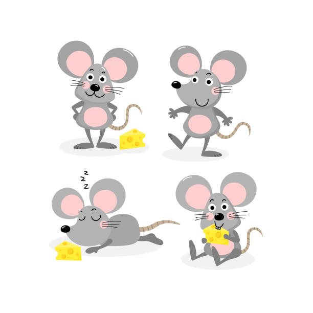 illustrations, cliparts, dessins animés et icônes de set vector mignonne souris et fromage - souris animal