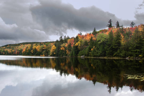 vista do lago na montanha verde e lagos finger florestas nacionais - vermont - autumn falling leaf new england - fotografias e filmes do acervo