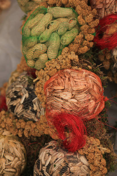 istock Bird food in netting 959046148