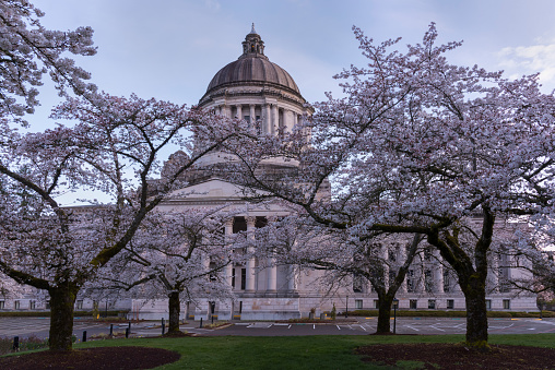 Washington State Capitol campus is one of the most beautiful places in Olympia, WA.