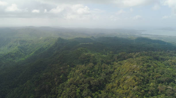 istock Mountain province in the Philippines 959053258