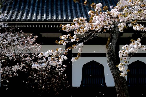 Kyoto 2018