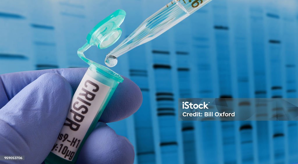 CRISPR research in laboratory Hand holding vial doing CRISPR genomic research ++ DNA created in graphics program++ CRISPR Stock Photo