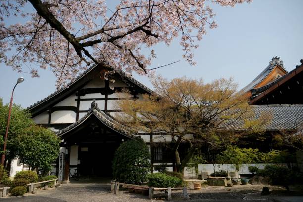 istock Cherry blossoms at temple in Kyoto 959056152