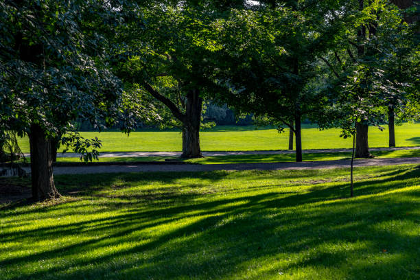 istock Governor's Park in Ottawa 959056322