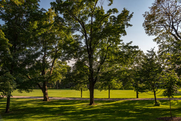 istock Governor's Park in Ottawa 959056674