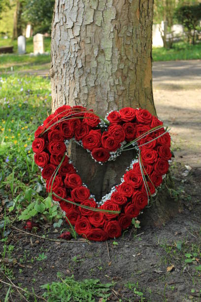 istock Sympathy flowers near a tree 959056712