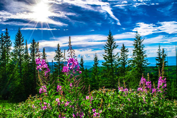 Grand Mesa at Land's End in Colorado