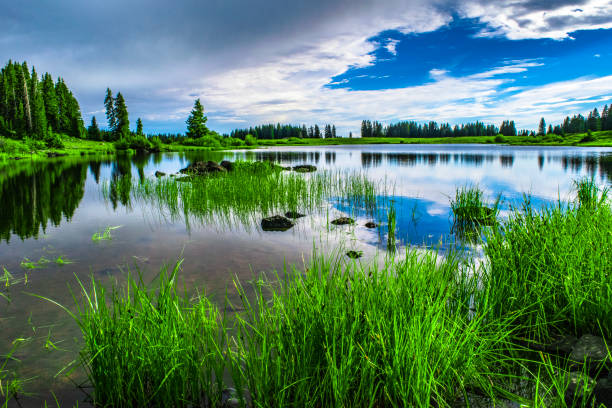 istock Grand Mesa in Grand Junction, Colorado 959062088
