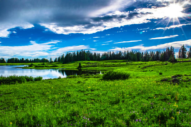 istock Grand Mesa in Grand Junction, Colorado 959062116