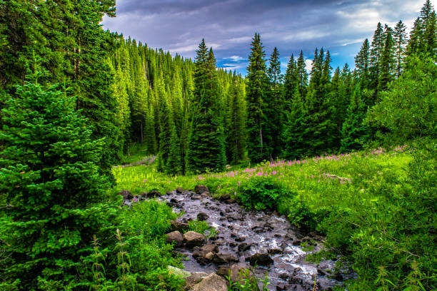 Grand Mesa at Land's End in Colorado