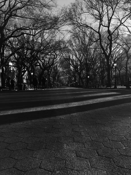 istock new york in black and white 959067186
