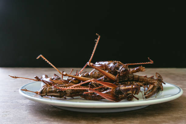 istock Fried insects in dish on wooden table with black background 959070356