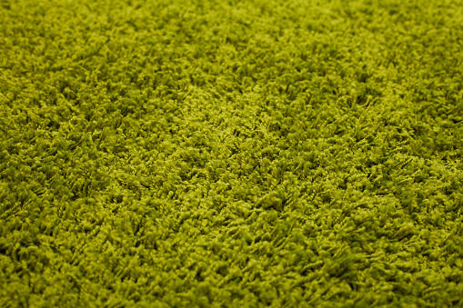 Green Carpet. Background.