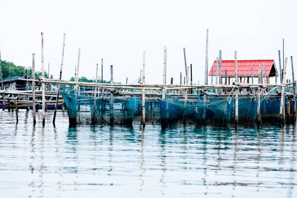 Fish farm at sunset (Kafelonia island, Greece).