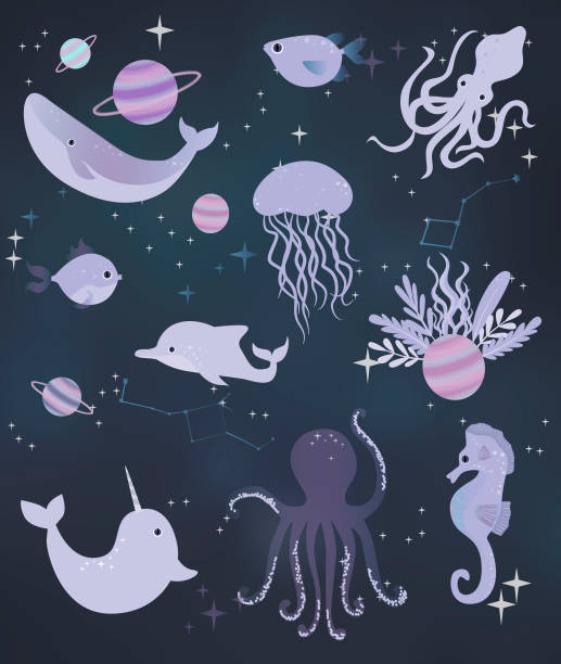 istock Sea space illustration poster. Sea animals and space background with stars and plane. Editable vector illustration 959076728