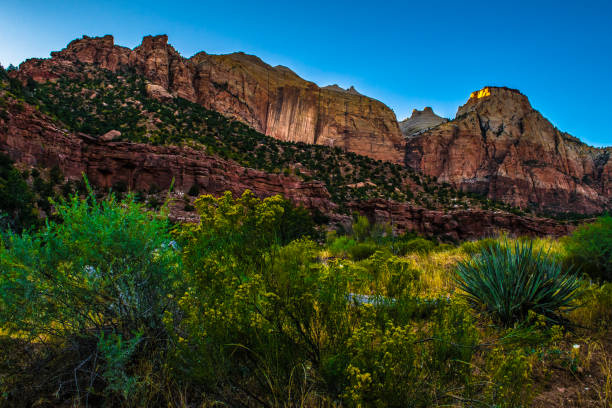 istock Zion National Park in Utah 959076882