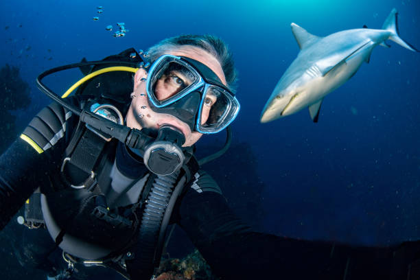 istock Underwater selfie with Grey shark ready to attack 959079586